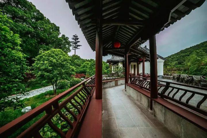救援大嘴鸟